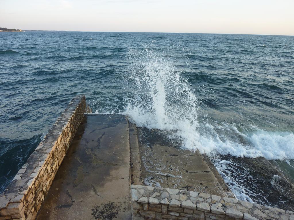 Studios Slavica Novigrad Istria الغرفة الصورة
