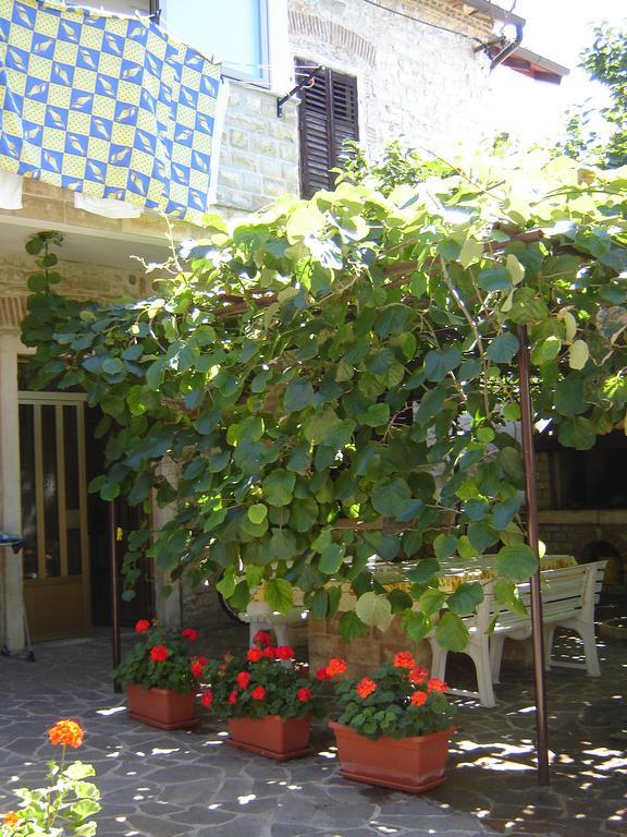 Studios Slavica Novigrad Istria الغرفة الصورة